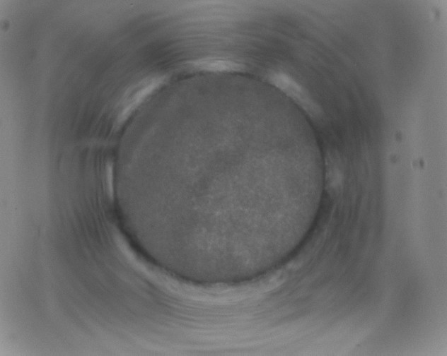 X0000076270014200610122306