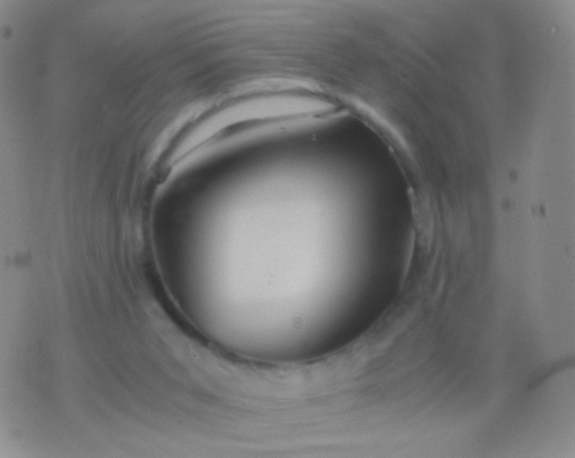 X0000076270015200610122306