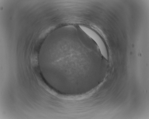 X0000076270017200610122306