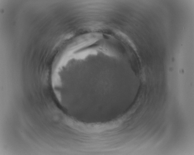 X0000076270018200610122306