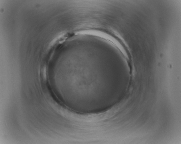 X0000076270019200610122306