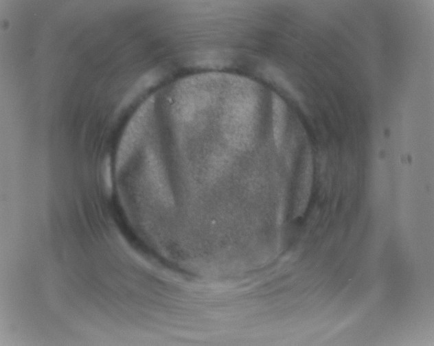 X0000076270020200610122306