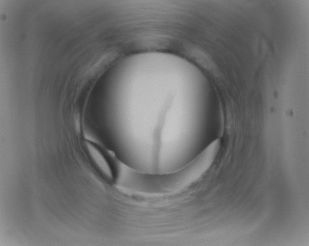 X0000076270021200610122306