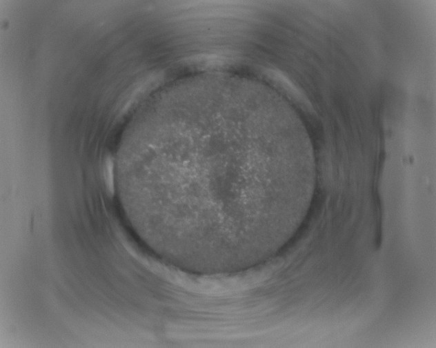 X0000076270022200610122306