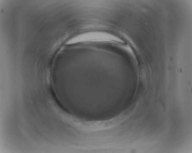 X0000076270023200610122306