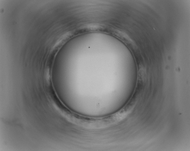 X0000076270024200610122306