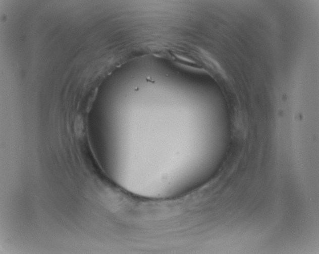 X0000076270025200610122306