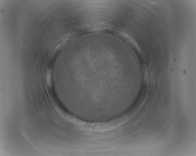 X0000076270026200610122306