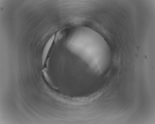 X0000076270027200610122306