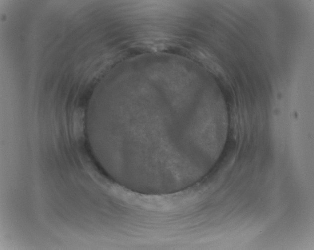 X0000076270030200610122306