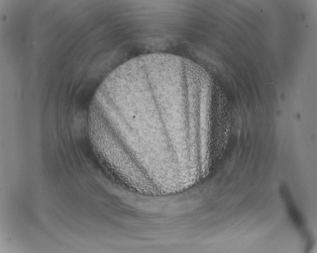 X0000076270034200610122306