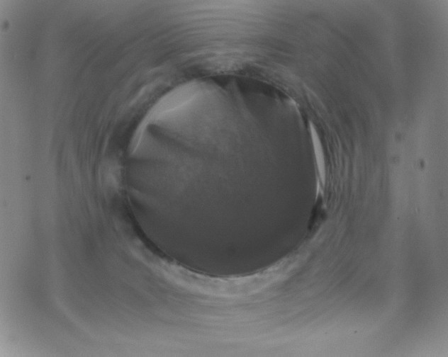 X0000076270035200610122306