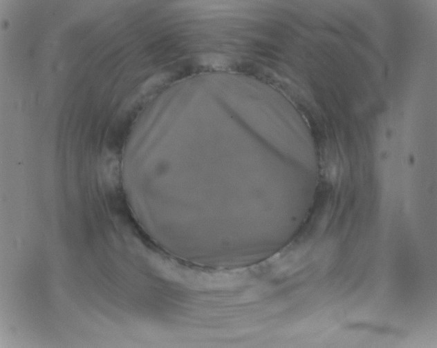 X0000076270036200610122306