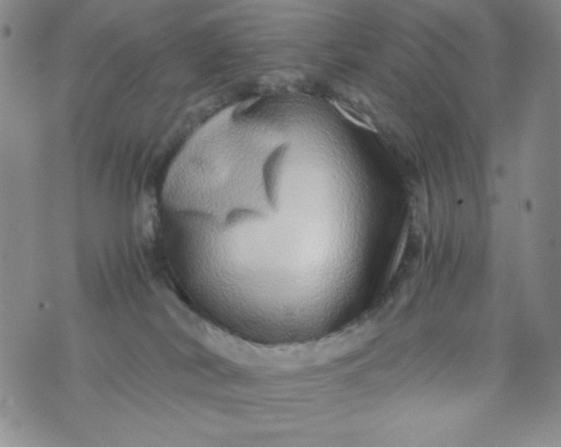 X0000076270038200610122306