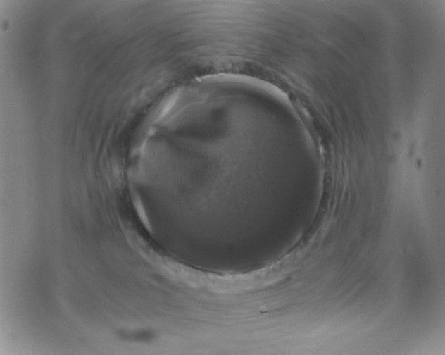 X0000076270039200610122306