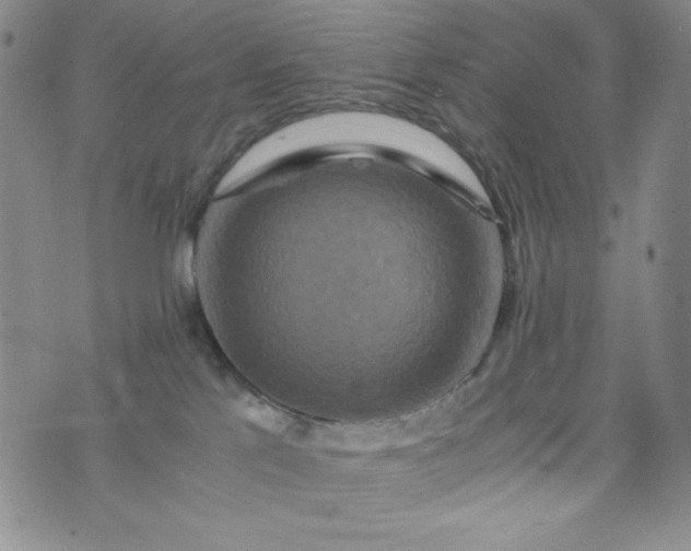 X0000076270041200610122306