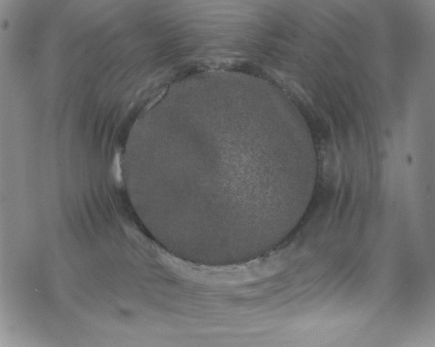 X0000076270042200610122306