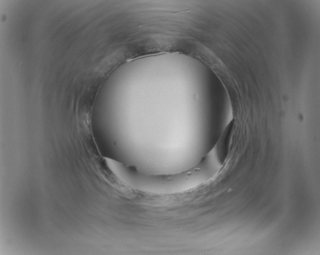 X0000076270045200610122306