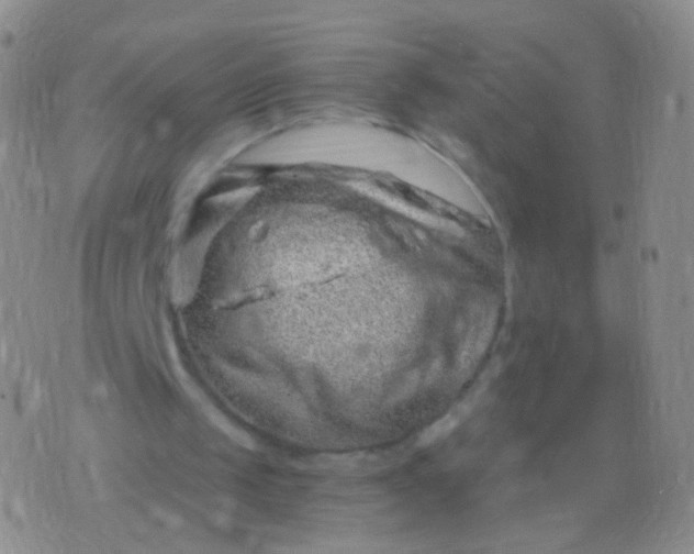 X0000076270049200610122305