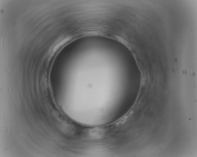 X0000076270050200610122305