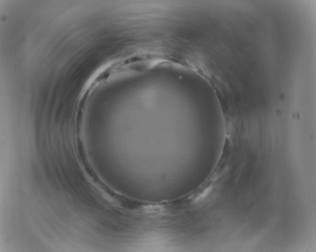 X0000076270052200610122305