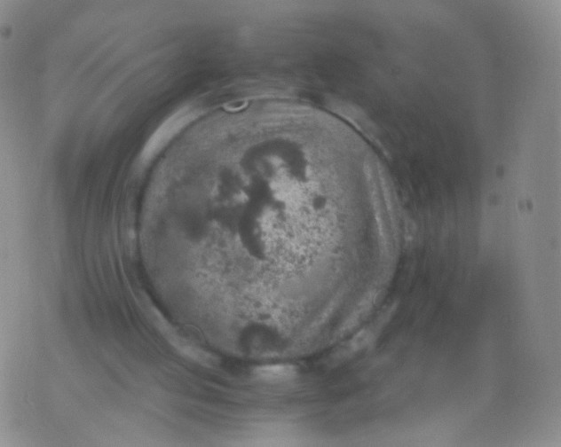 X0000076270053200610122305