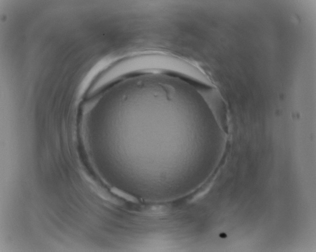 X0000076270056200610122305