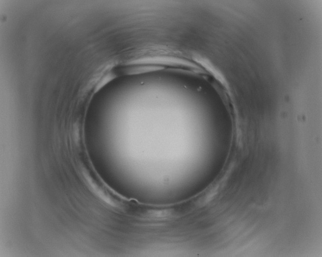 X0000076270057200610122305