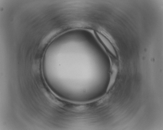 X0000076270058200610122305