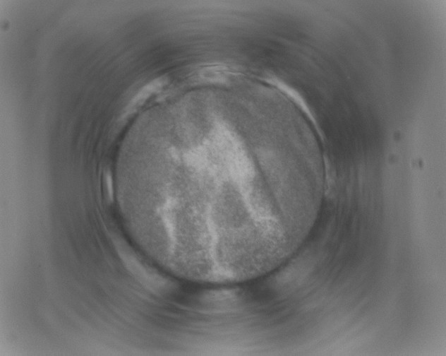 X0000076270061200610122305