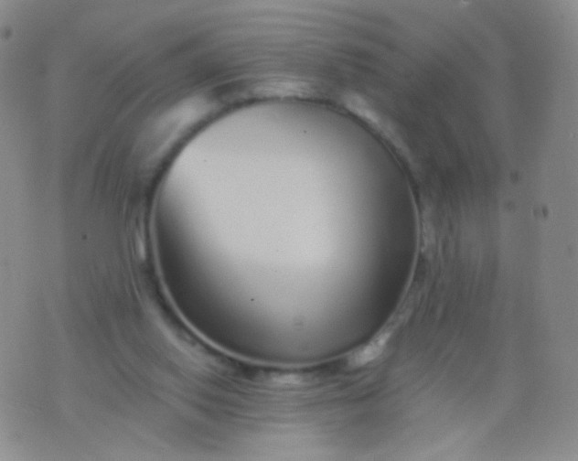 X0000076270062200610122305