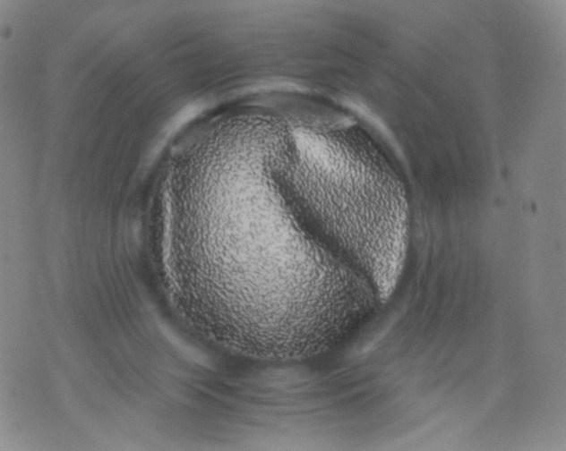 X0000076270063200610122305