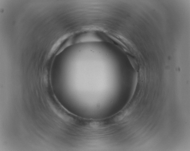 X0000076270064200610122305