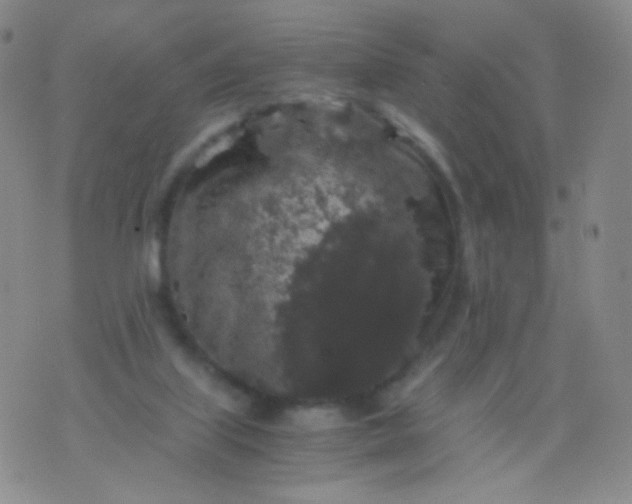 X0000076270067200610122305