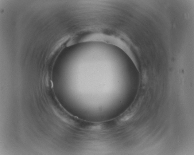 X0000076270068200610122305