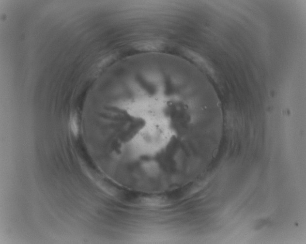 X0000076270069200610122305