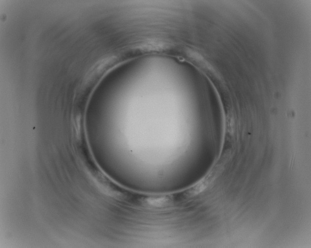 X0000076270070200610122305