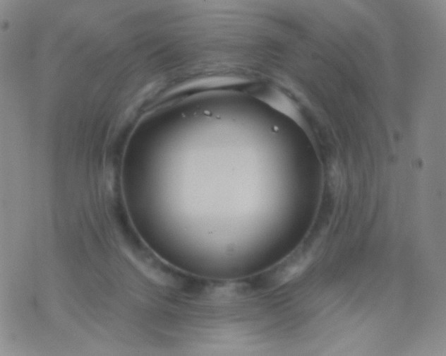 X0000076270072200610122305