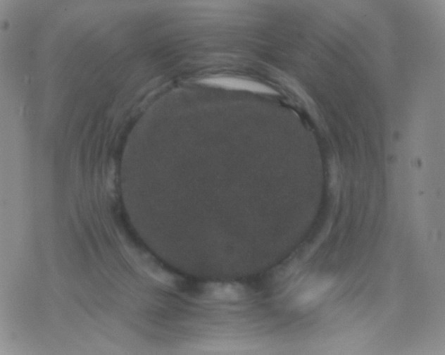 X0000076270073200610122305