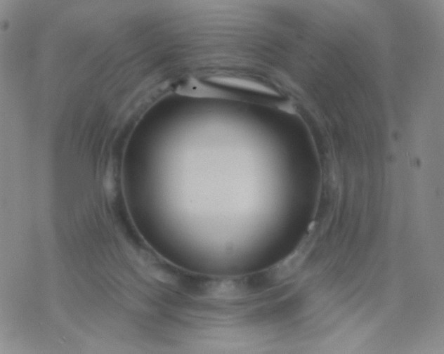 X0000076270074200610122305