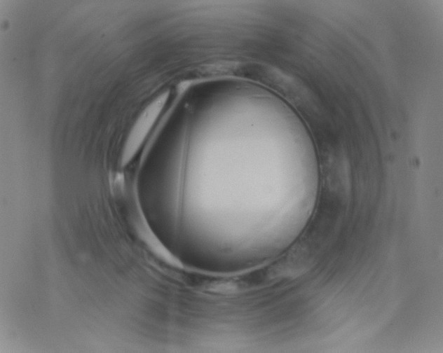 X0000076270075200610122305