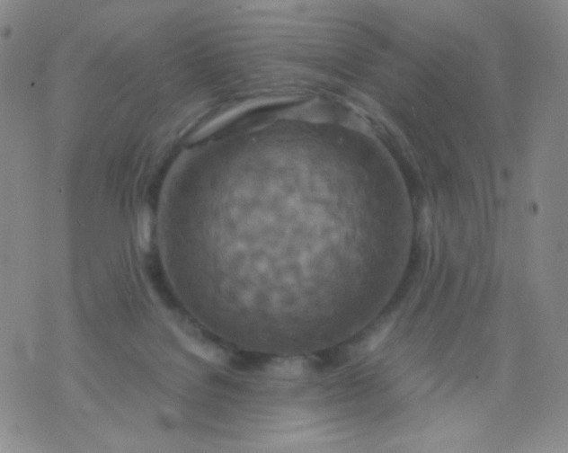 X0000076270076200610122305