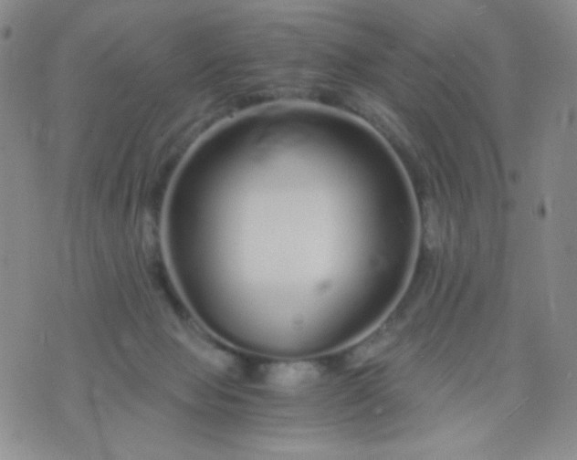 X0000076270077200610122305