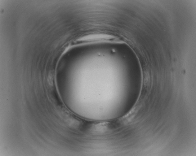 X0000076270078200610122305