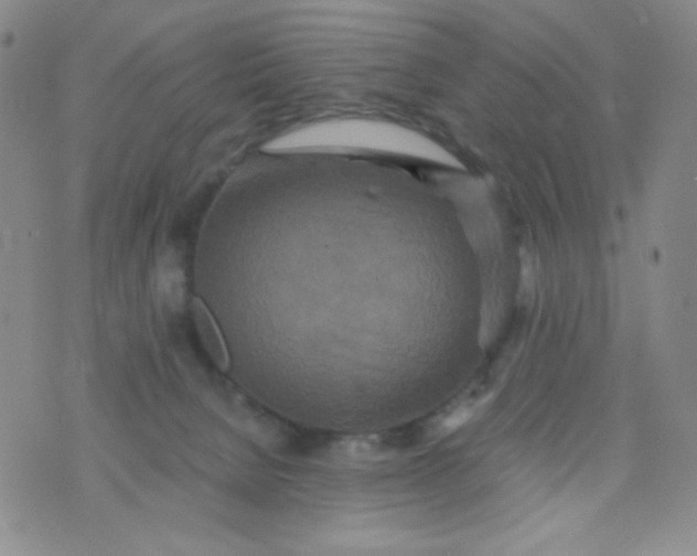 X0000076270080200610122305