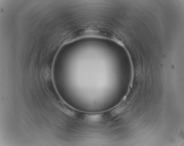 X0000076270081200610122306