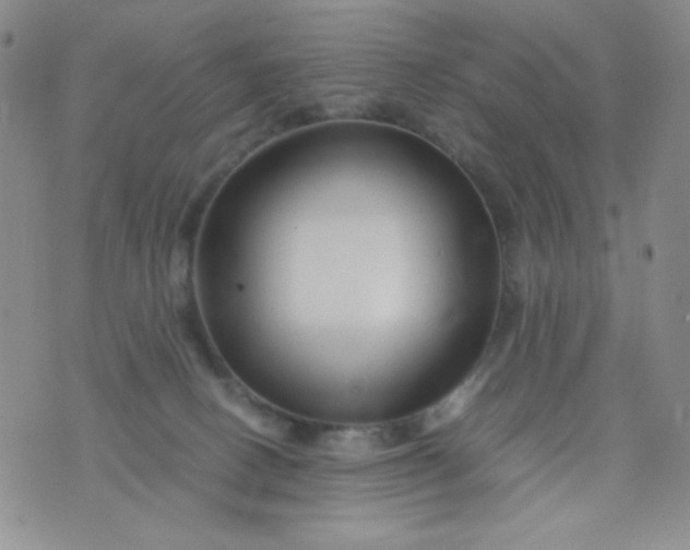 X0000076270082200610122306