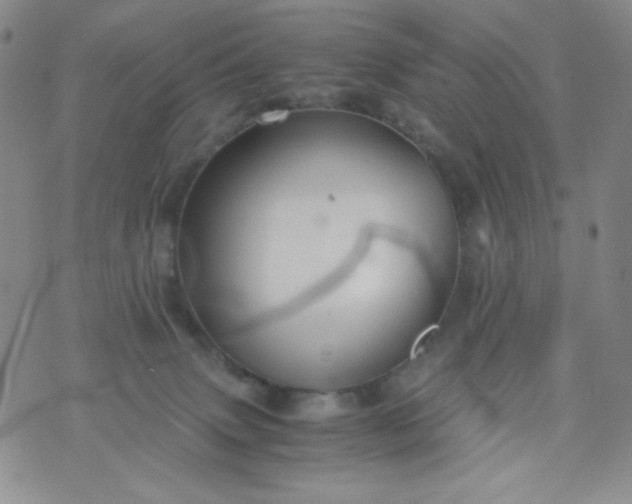 X0000076270083200610122306