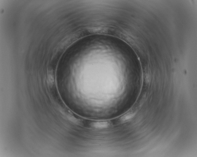 X0000076270085200610122306