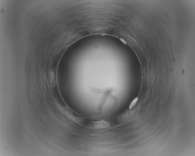 X0000076270087200610122306